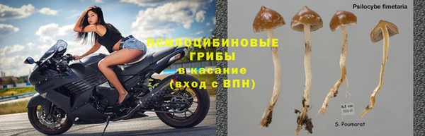 прущие крисы Богородицк