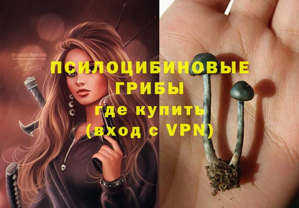 СК Богданович