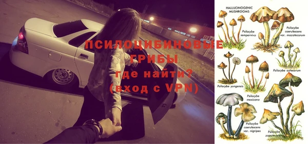 прущая мука Богородск